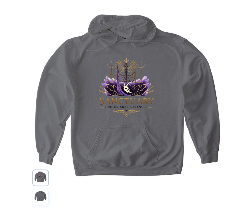 Sanctuary Hoodie — Charcoal